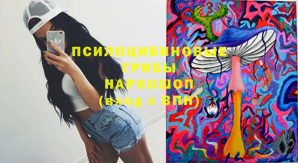 jwh Белокуриха