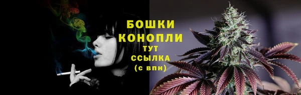 PSILOCYBIN Белоозёрский