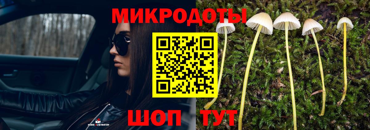 Воскресенск  Псилоцибиновые грибы прущие грибы  Вход с VPN 
